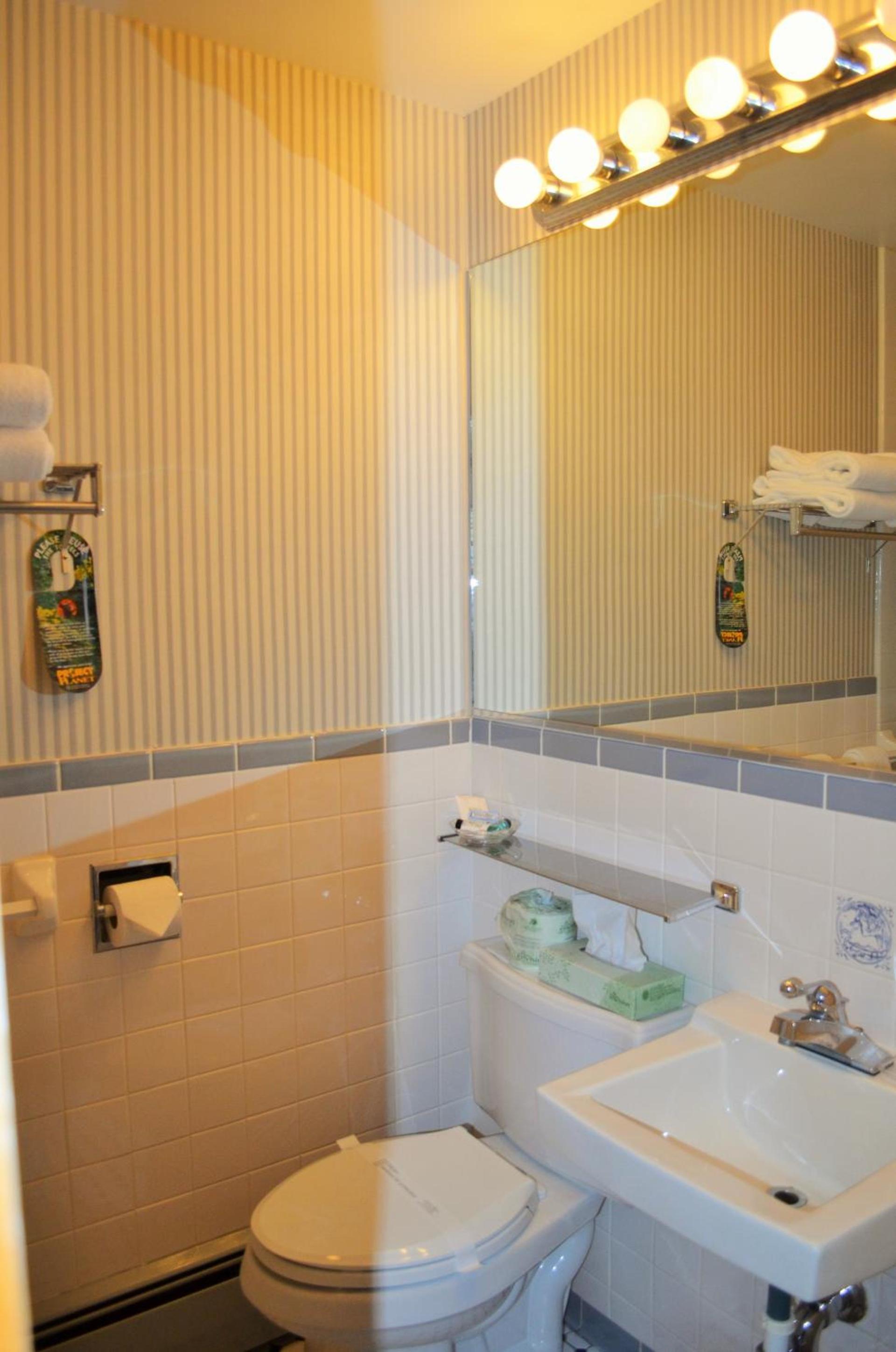 Maple Terrace Motel photo 68