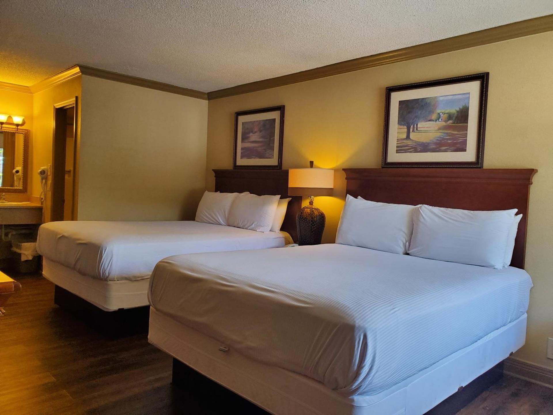 Colonial House Motel photo 51