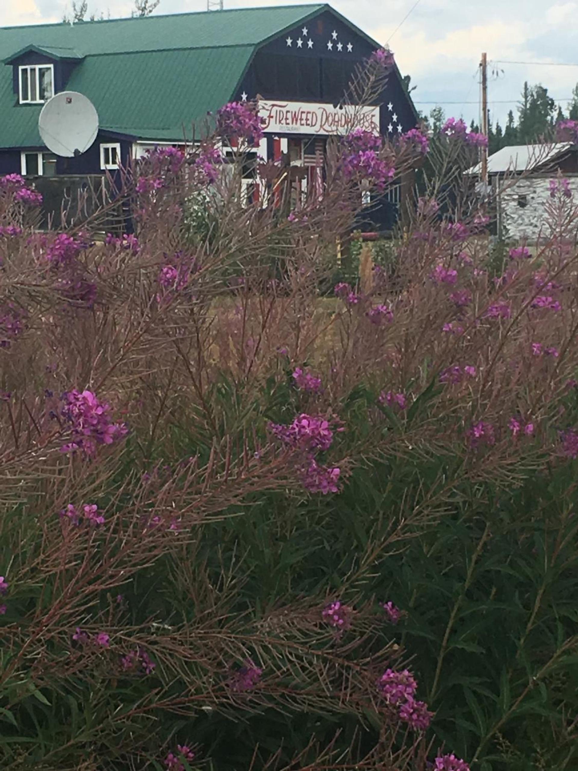 FireWeed RoadHouse photo 4