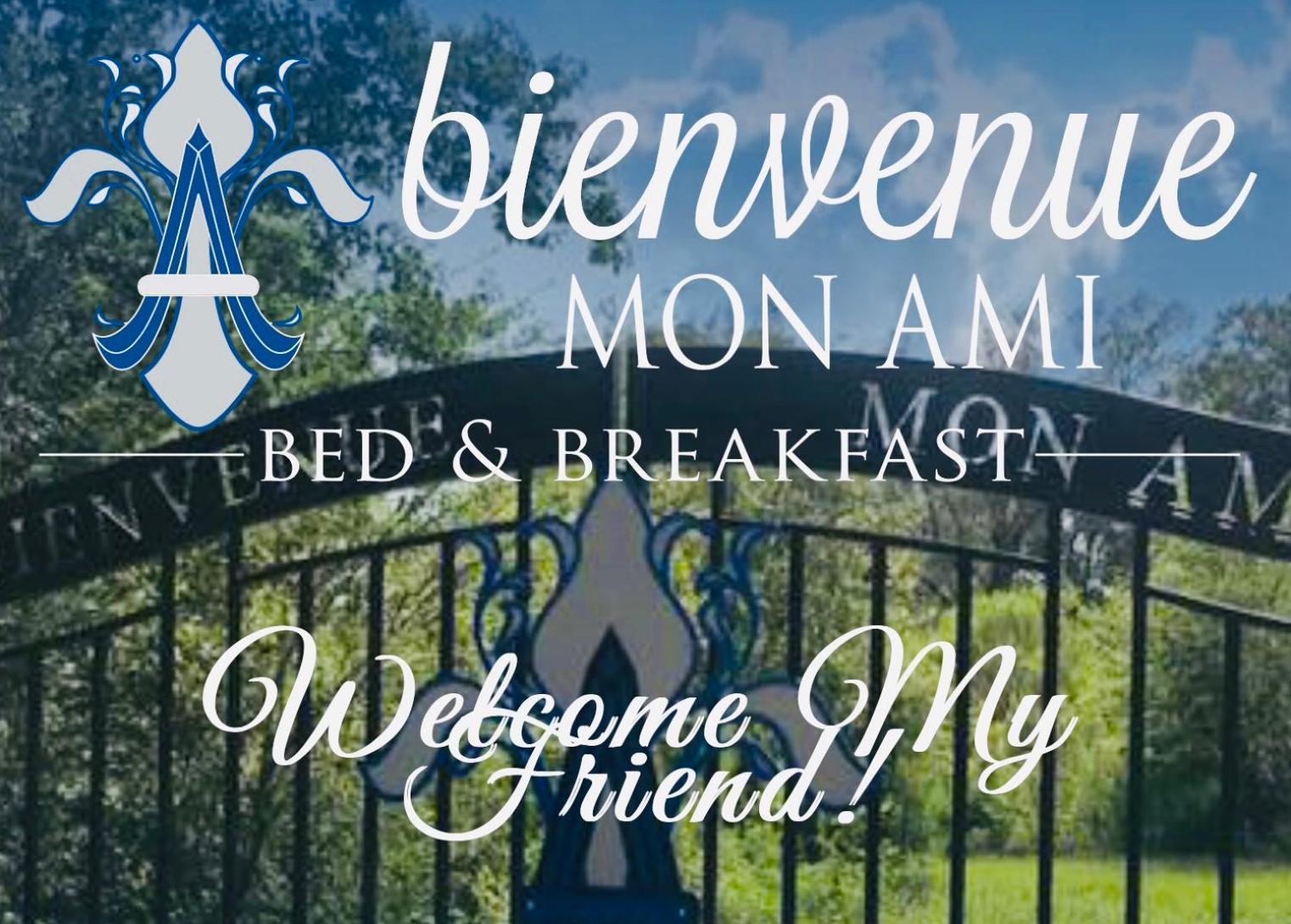 Bienvenue Mon Ami Bed and Breakfast photo 4