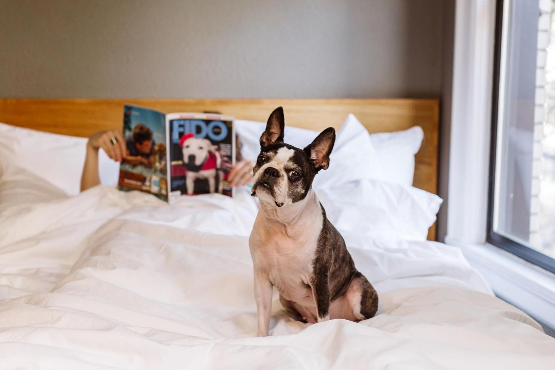 Hotel Max photo 13