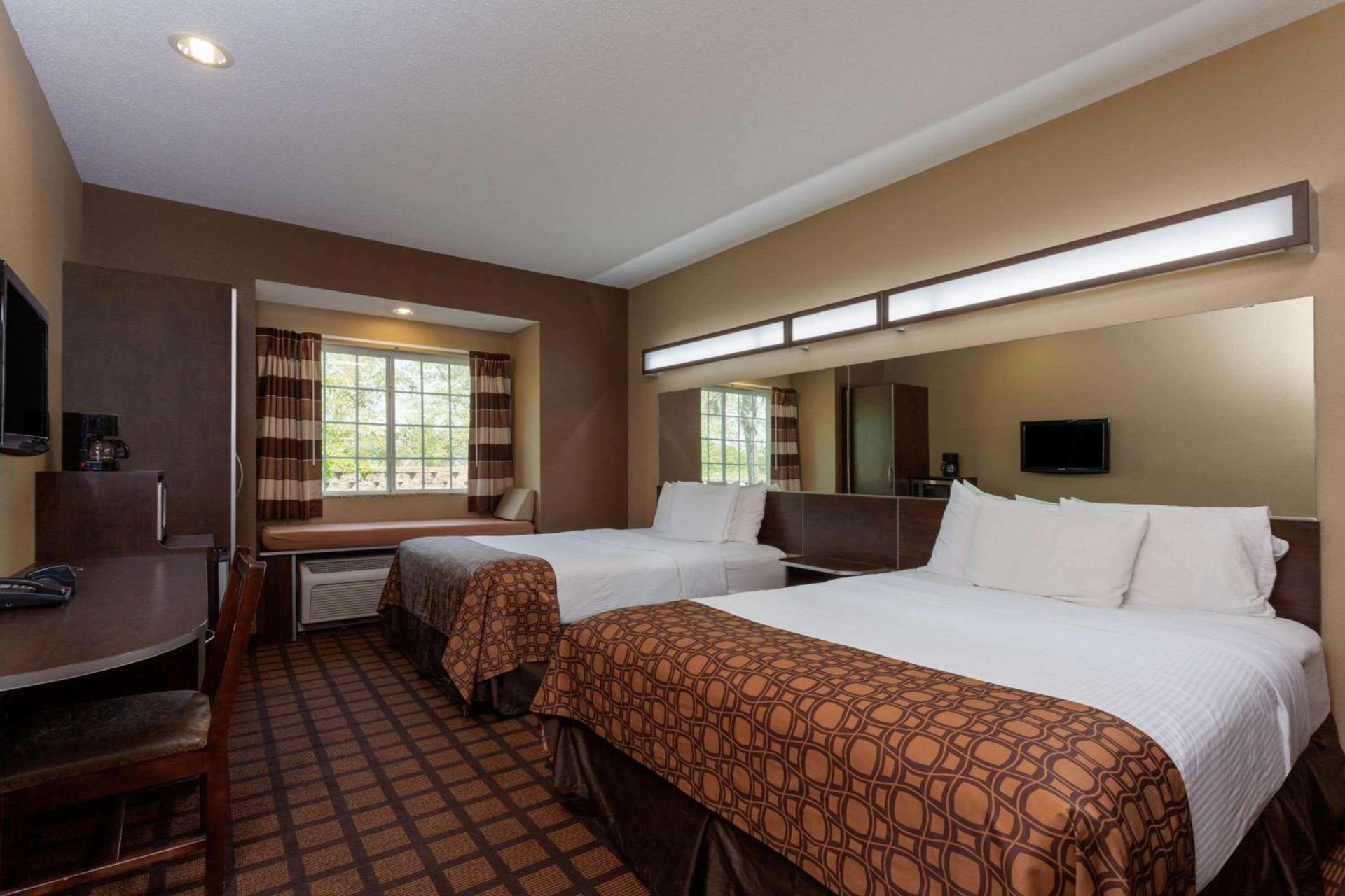 Microtel Inn & Suites by Wyndham Columbia photo 9