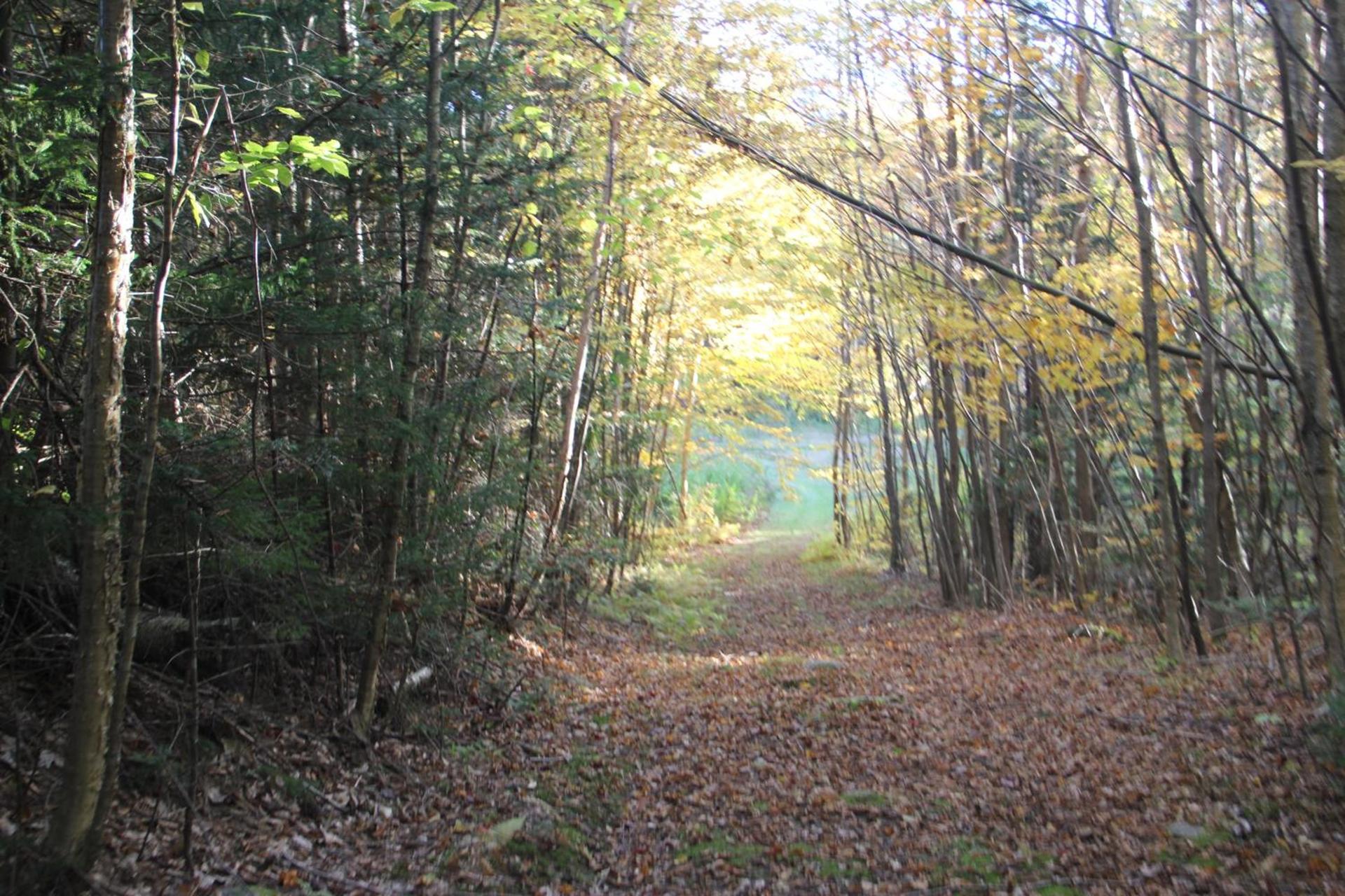 Mount Jefferson View photo 86