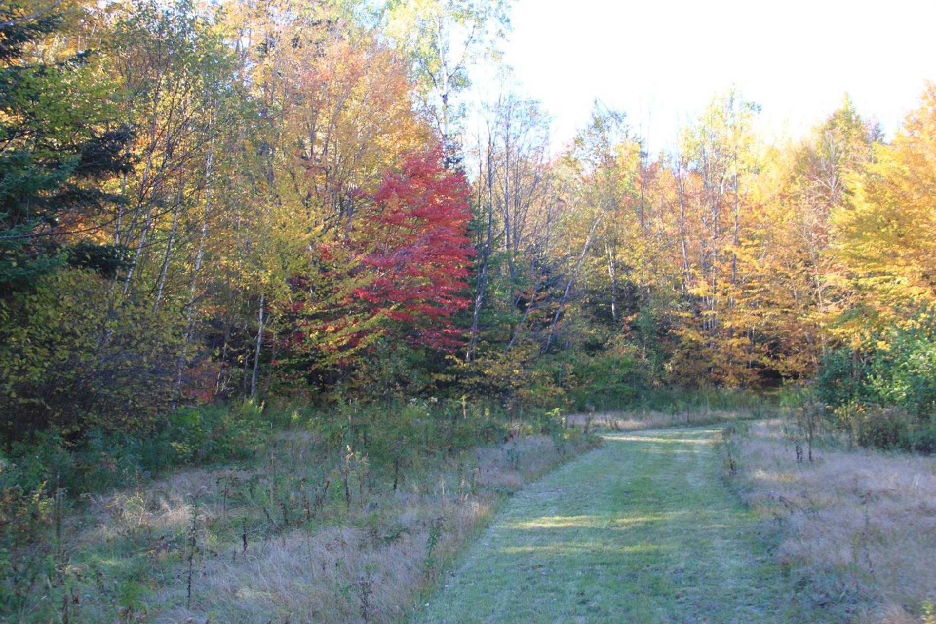 Mount Jefferson View photo 80