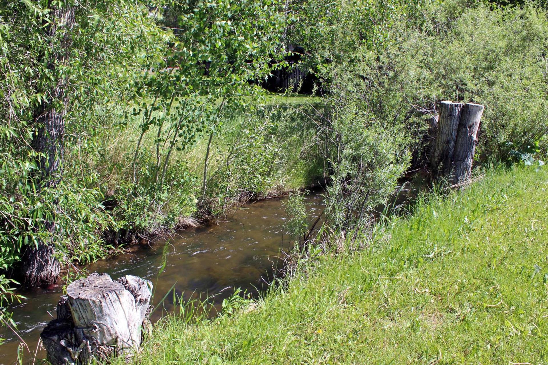 Rodeway Inn Gunnison - Crested Butte photo 6