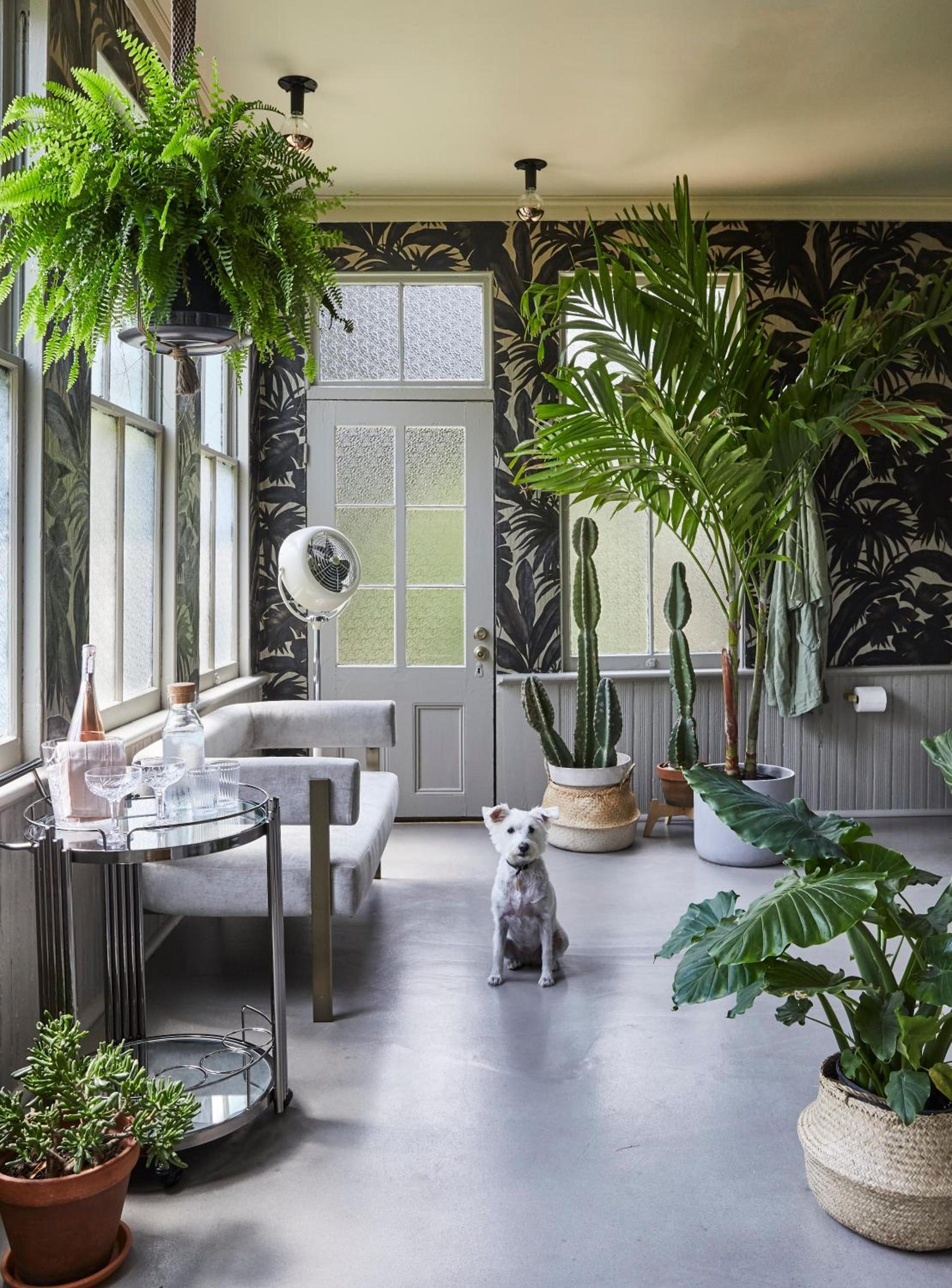 DREAMERS bnb photo 33