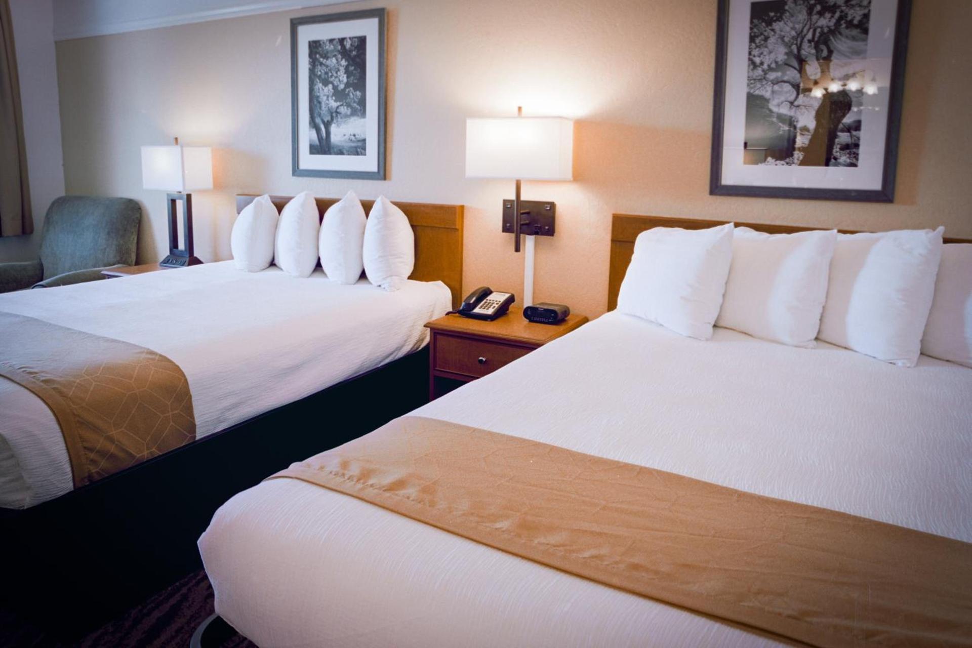 Pines Inn & Suites photo 9