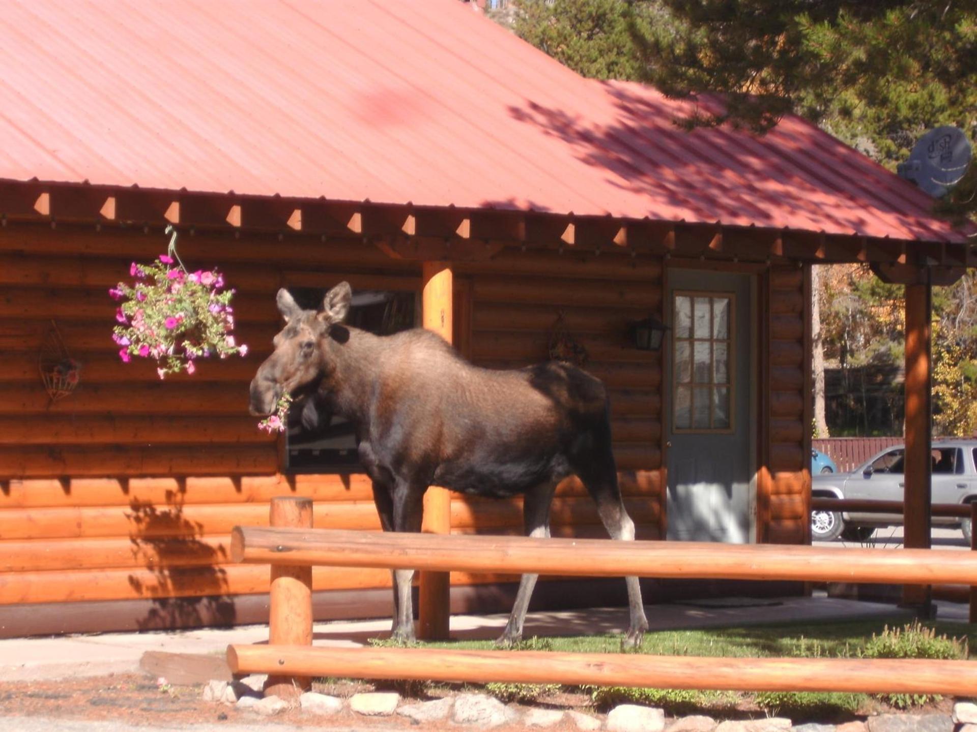 Lone Eagle Lodge photo 9