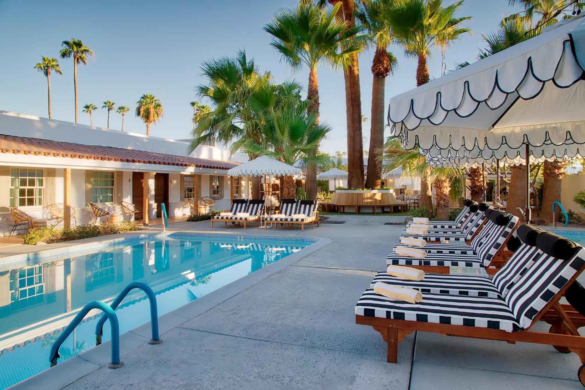 Dive Palm Springs Hotel - 21 & Over photo 4