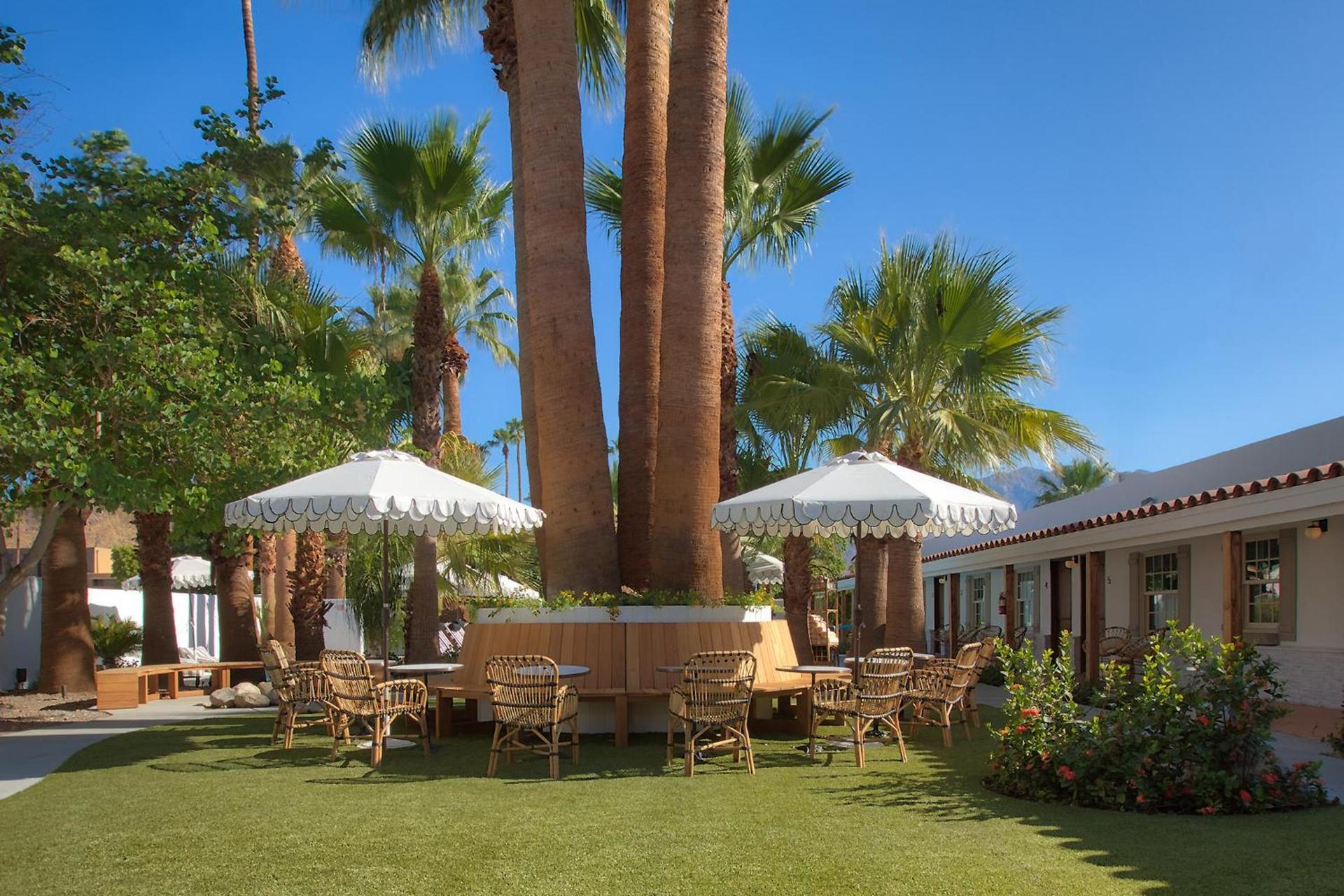 Dive Palm Springs Hotel - 21 & Over photo 65