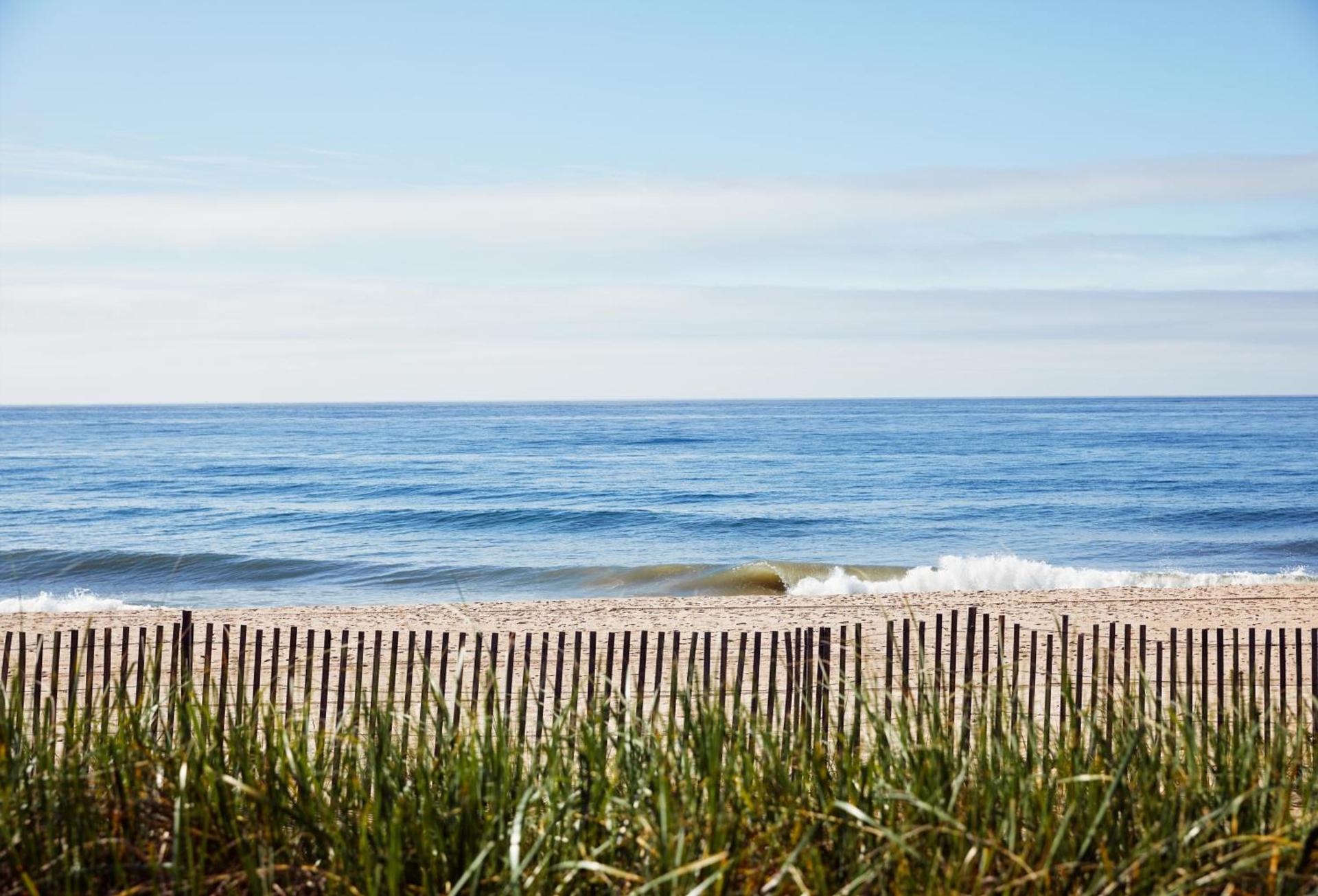 Marram photo 31