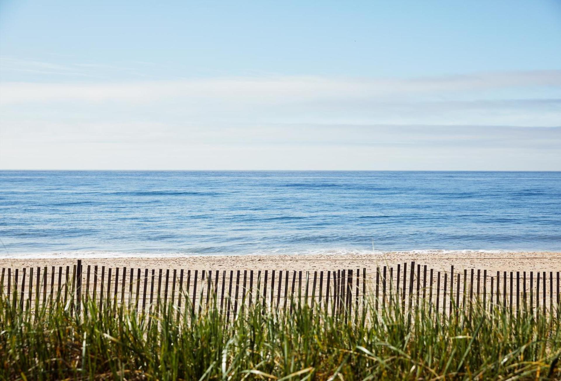 Marram photo 29