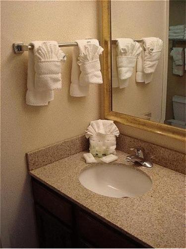 Staybridge Suites Indianapolis-Airport by IHG photo 5