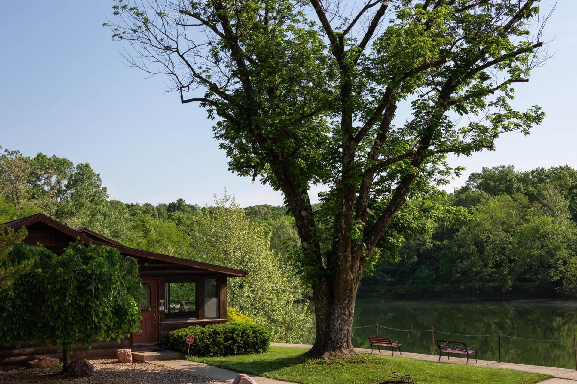 Basswood Resort photo 50