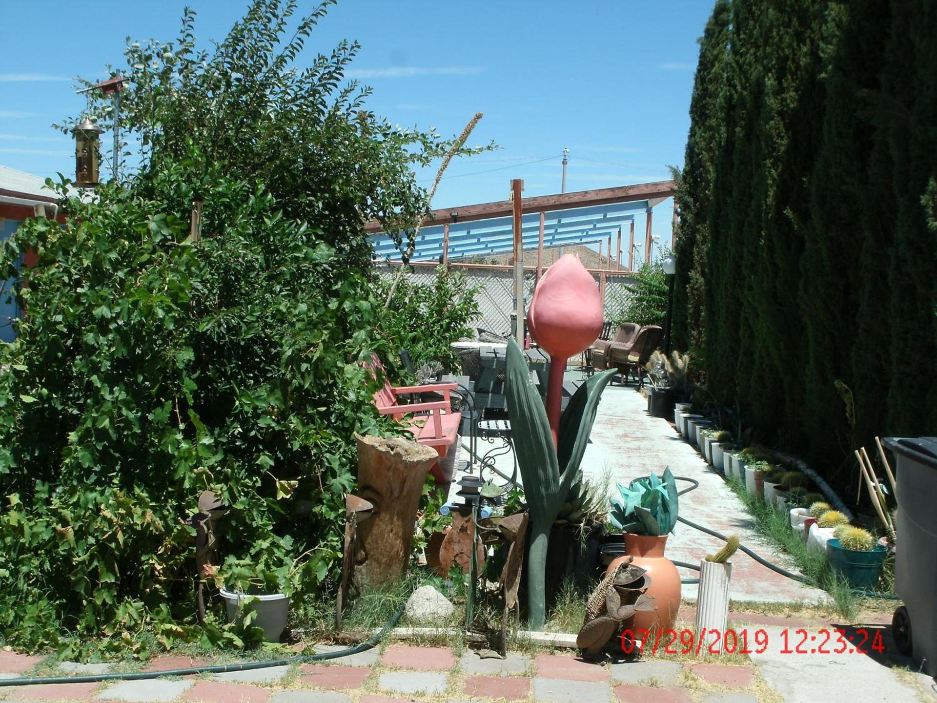 Safari Motor Inn - Joshua Tree photo 41