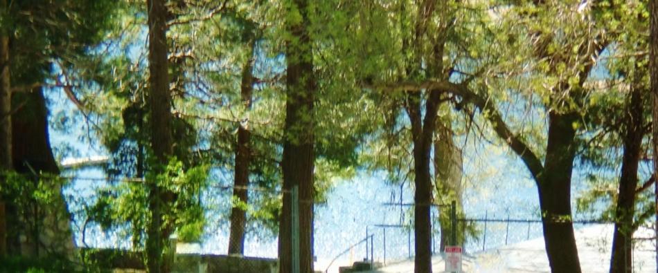 The North Shore Inn photo 22