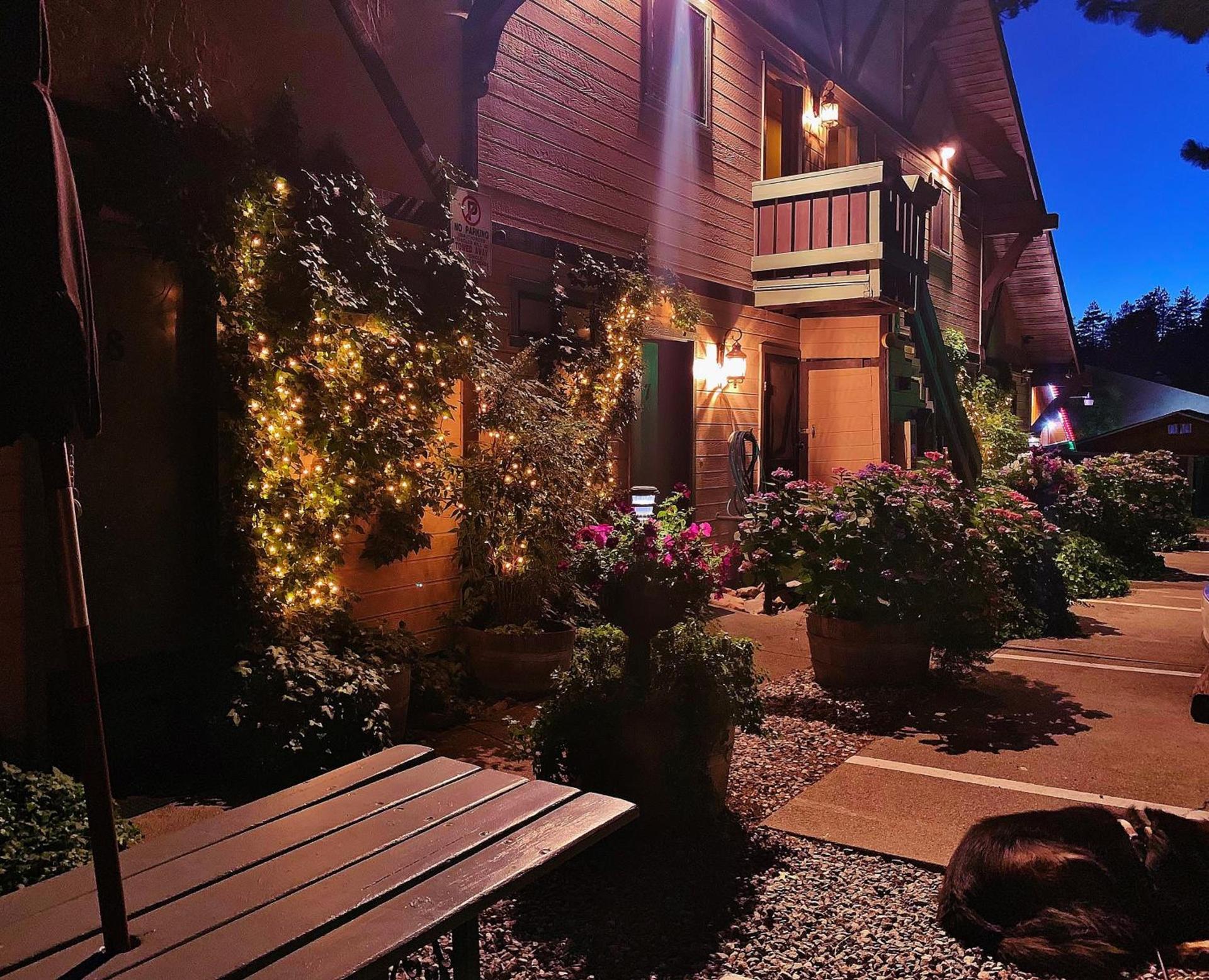 The North Shore Inn photo 7