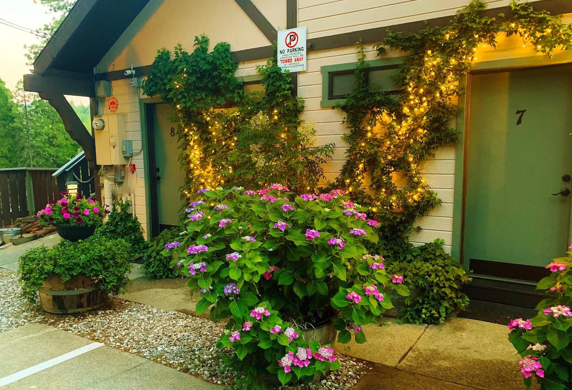 The North Shore Inn photo 9