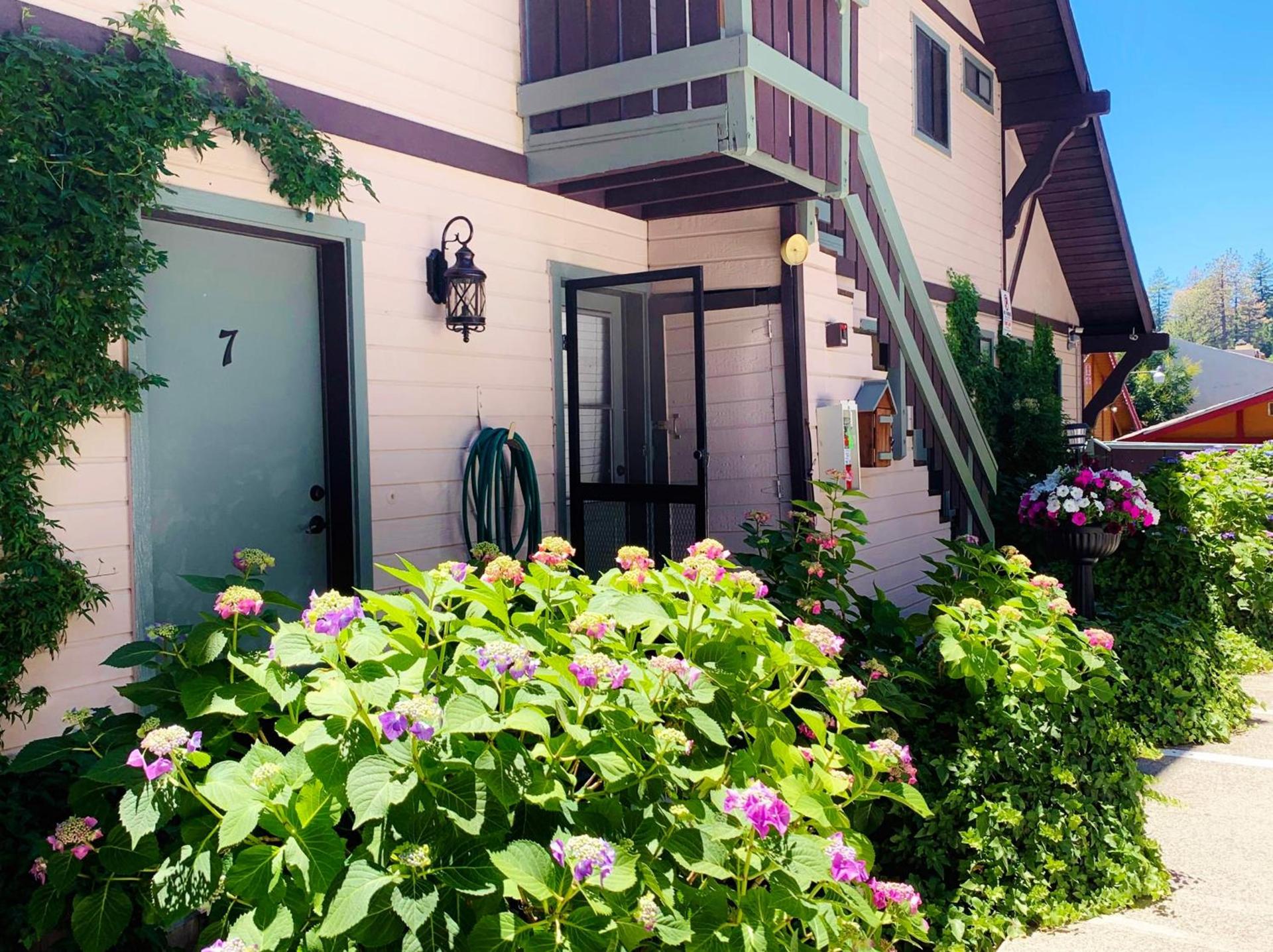 The North Shore Inn photo 13