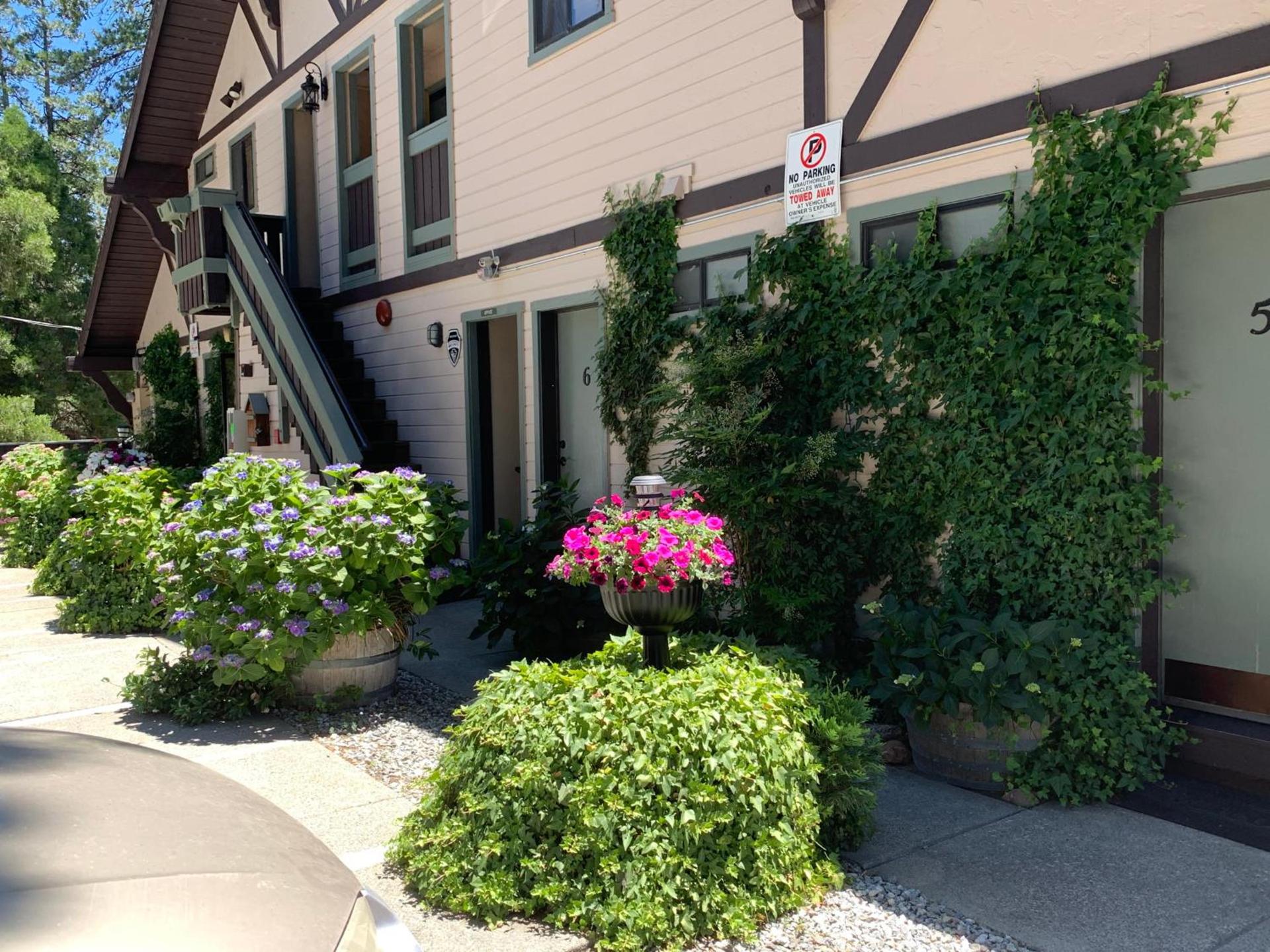 The North Shore Inn photo 15
