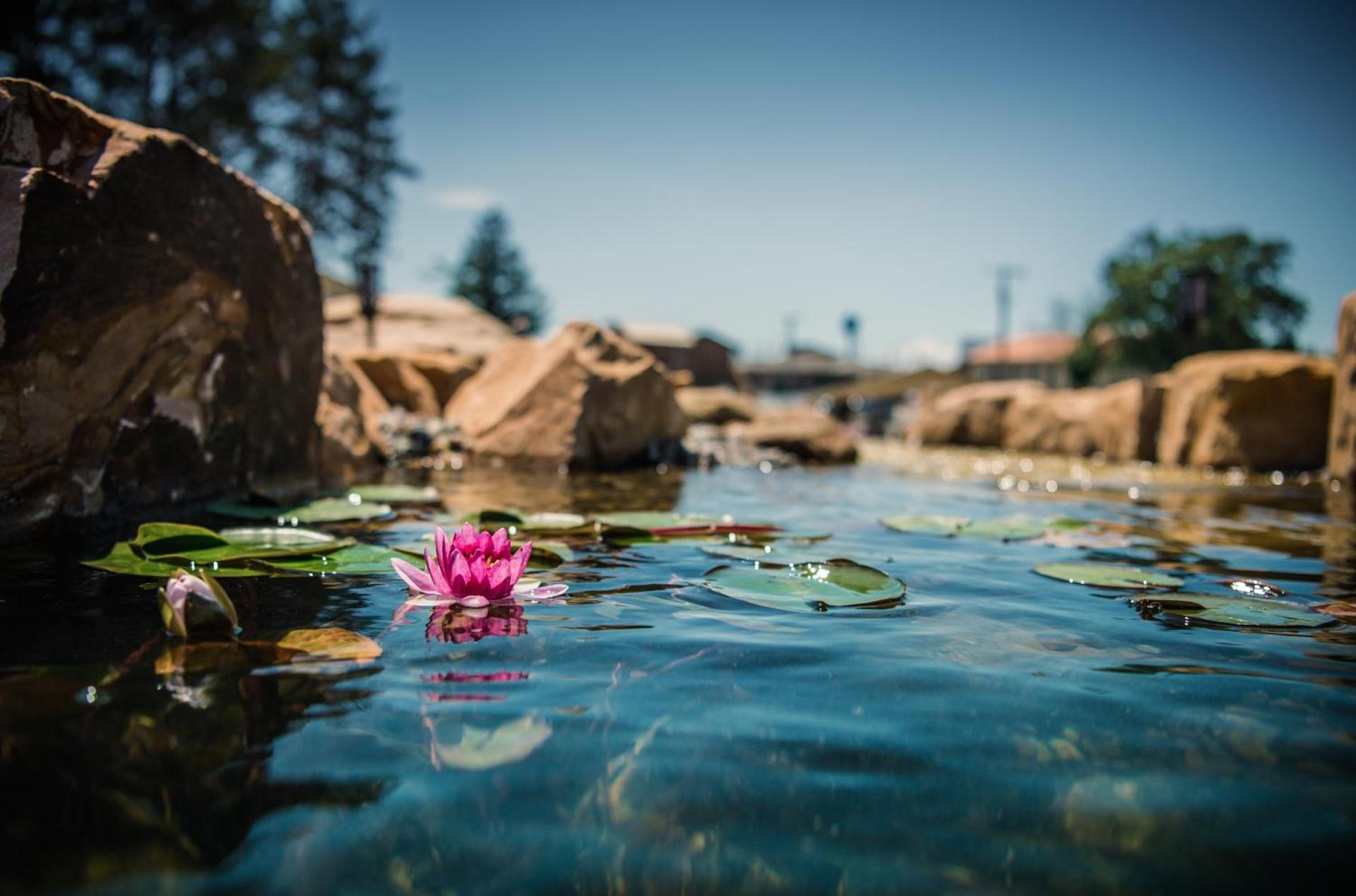 Natura VUE Resort & Boathouse photo 40