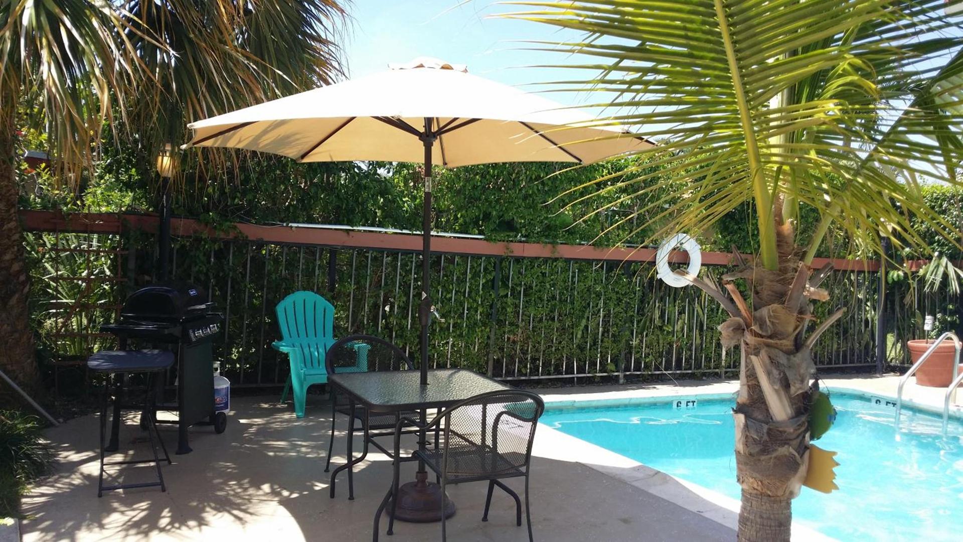 Palm Breeze Hotel photo 40