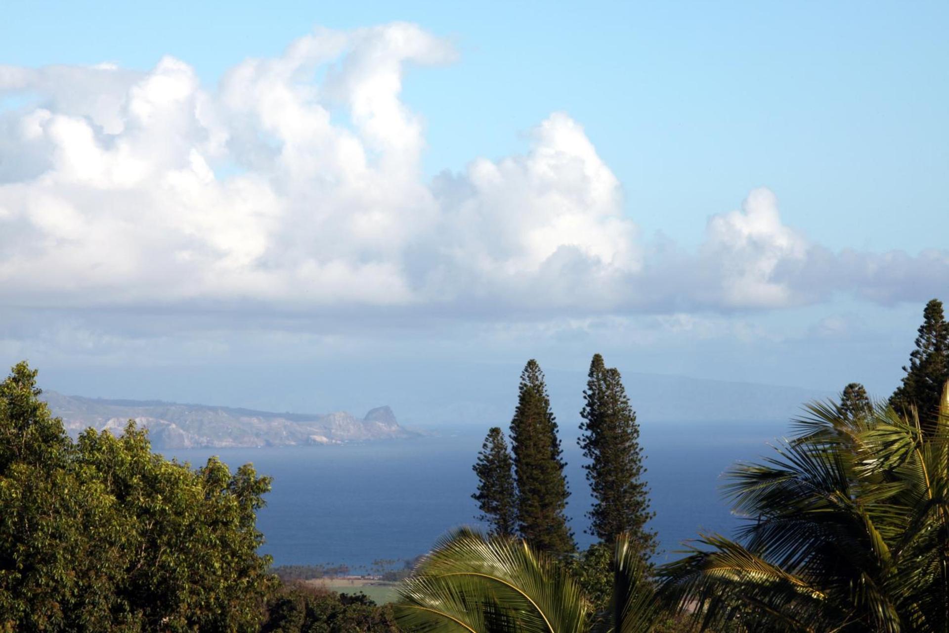 Lumeria Maui, Wellness Retreat Center photo 4