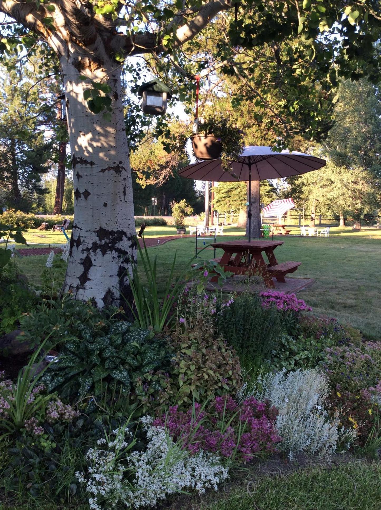 Aspen Inn photo 4