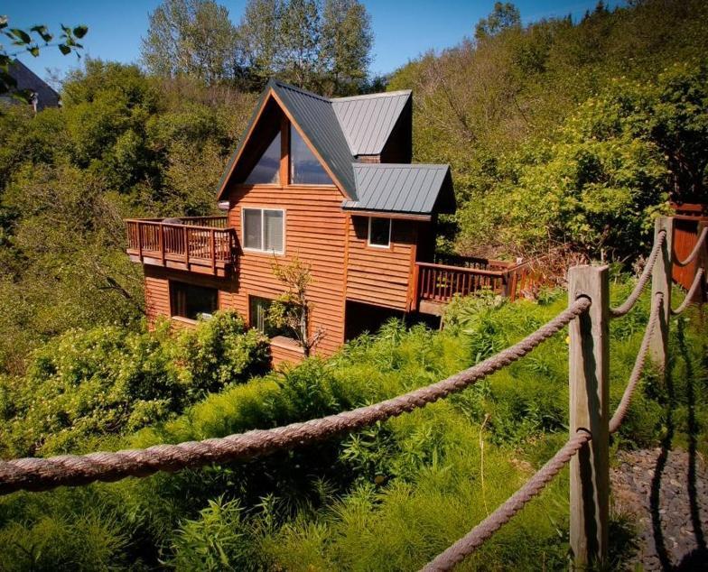Alaska Adventure Cabins photo 41