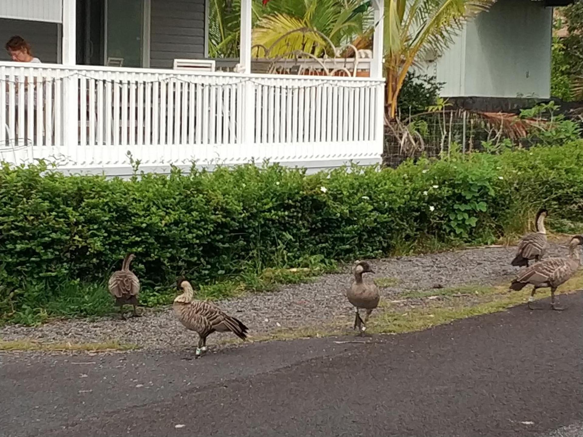 Ocean Breeze Inn photo 30