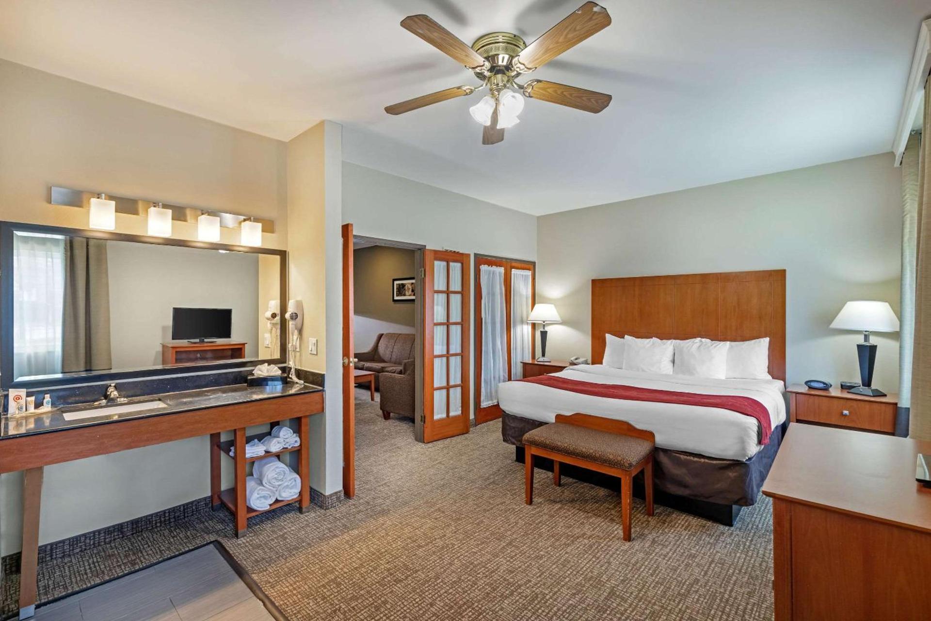 Comfort Suites North Dallas photo 42