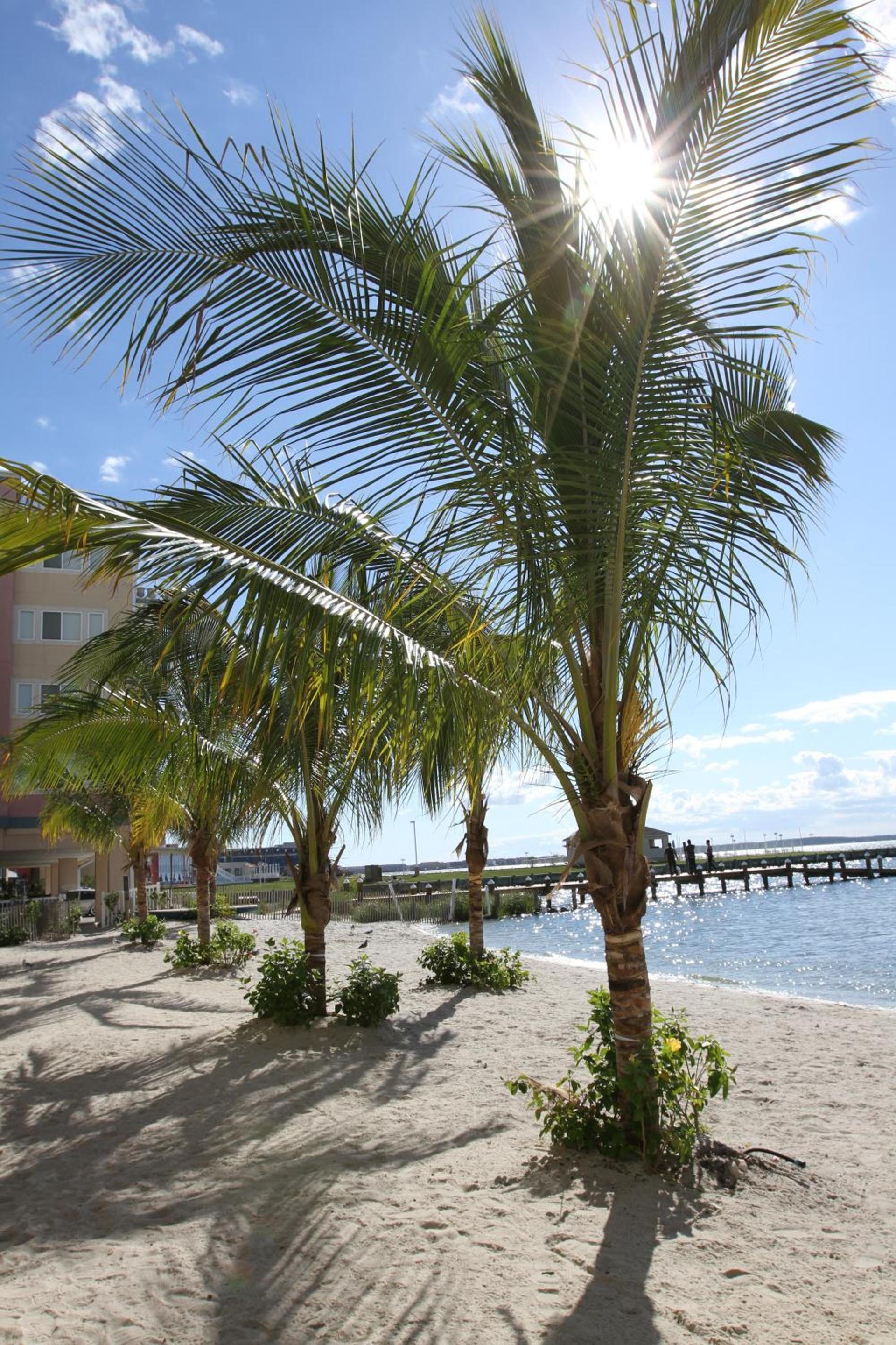 Princess Bayside Beach Hotel photo 5