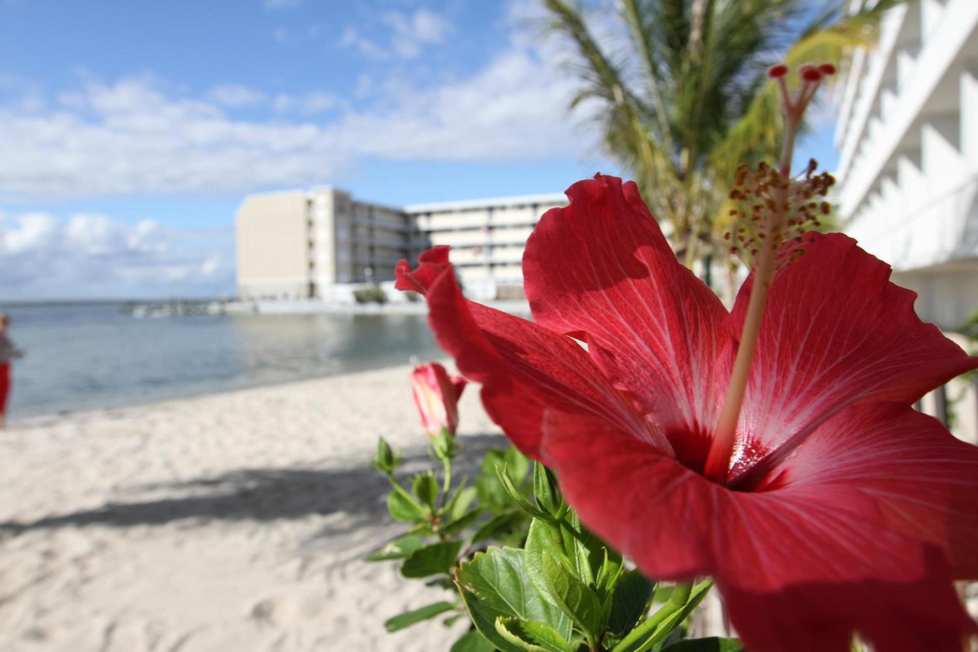 Princess Bayside Beach Hotel photo 2