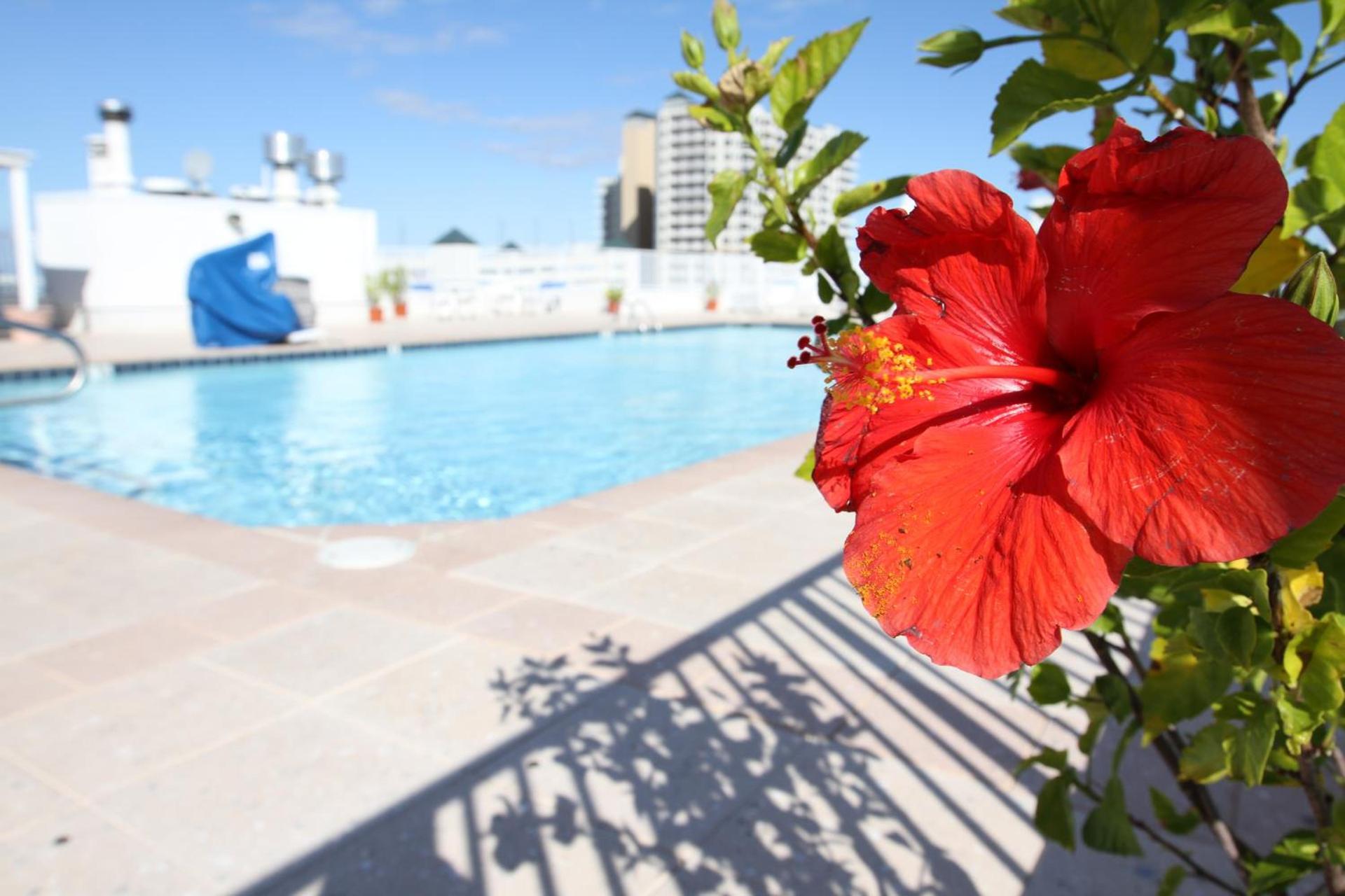 Princess Bayside Beach Hotel photo 7