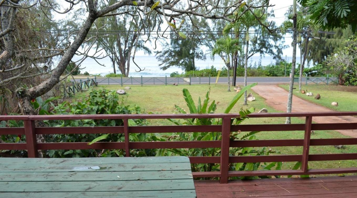 Backpackers Vacation Inn and Plantation Village photo 45