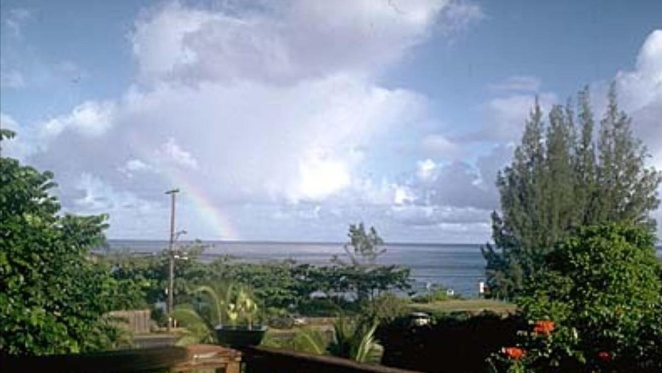 Backpackers Vacation Inn and Plantation Village photo 48