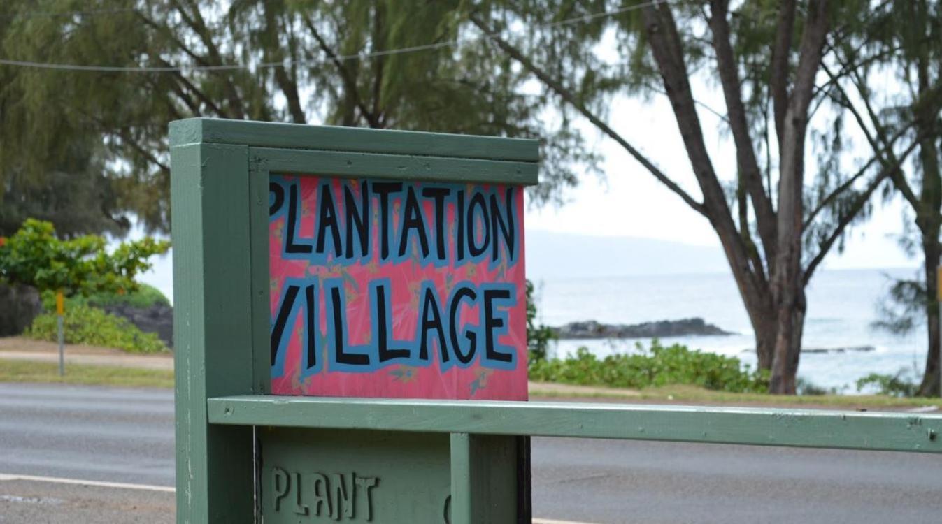 Backpackers Vacation Inn and Plantation Village photo 49