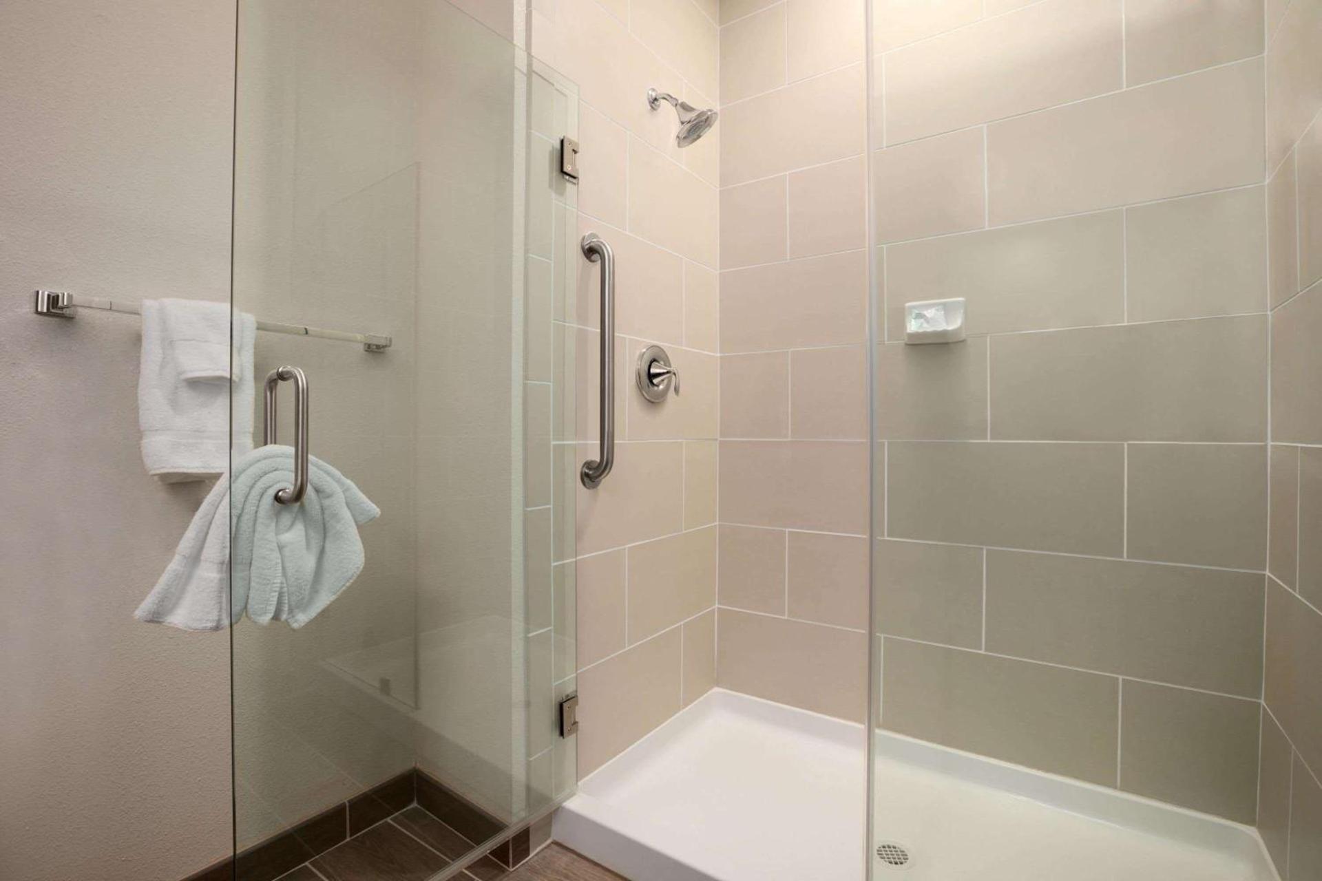 Baymont by Wyndham Hobbs photo 33