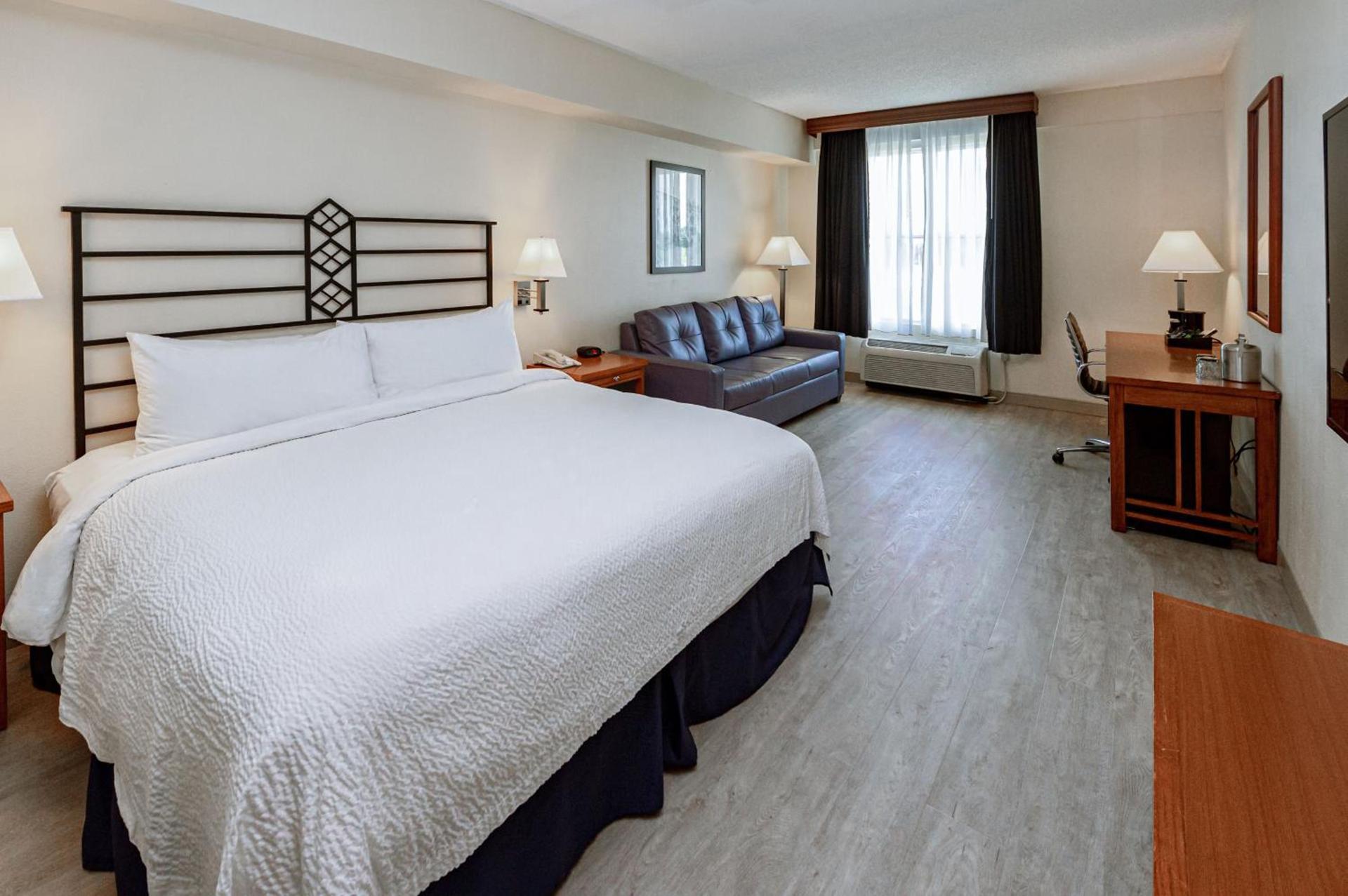 SEVEN Sebring Raceway Hotel photo 23