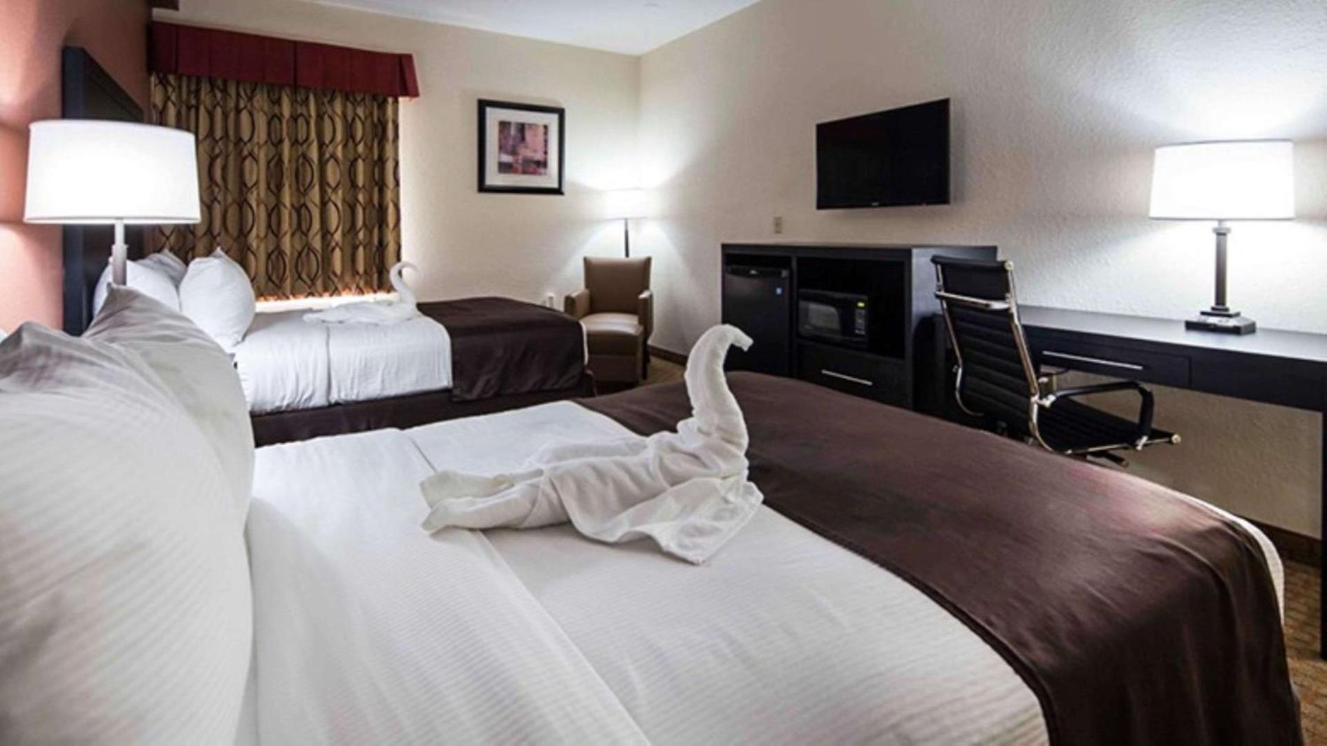 Best Western Mulberry Hotel photo 3
