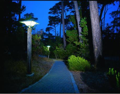 Asilomar Conference Grounds photo 8
