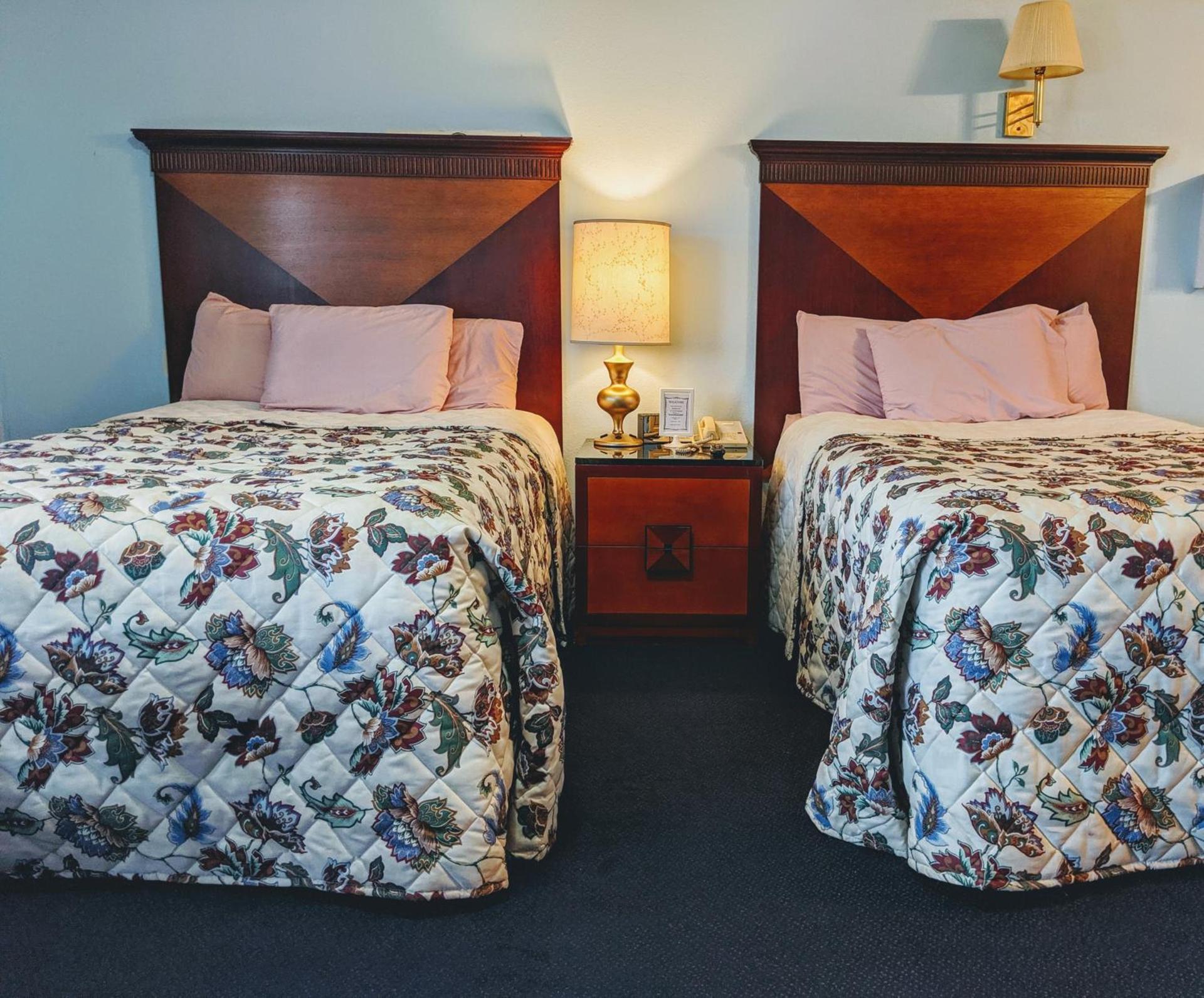 Executive Inn photo 19