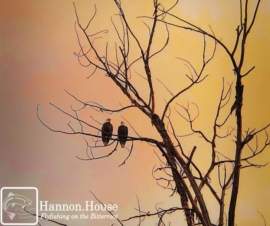 Hannon House photo 5
