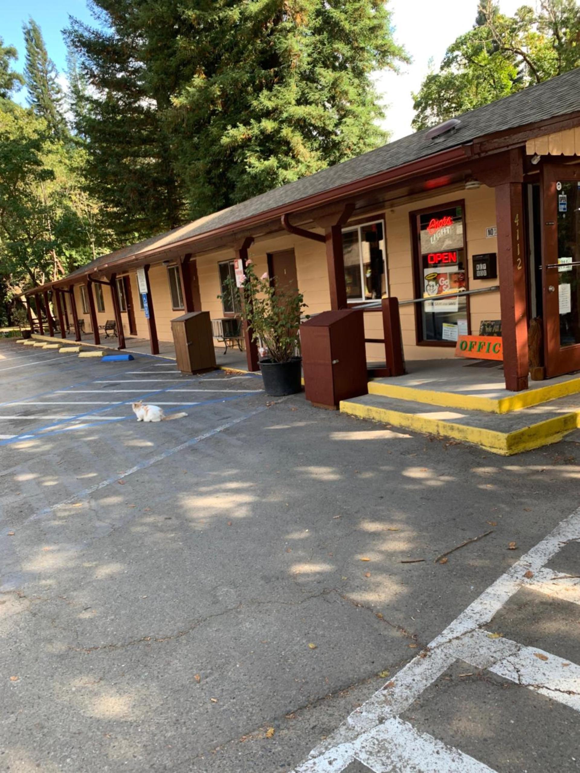 Dean Creek Resort photo 7
