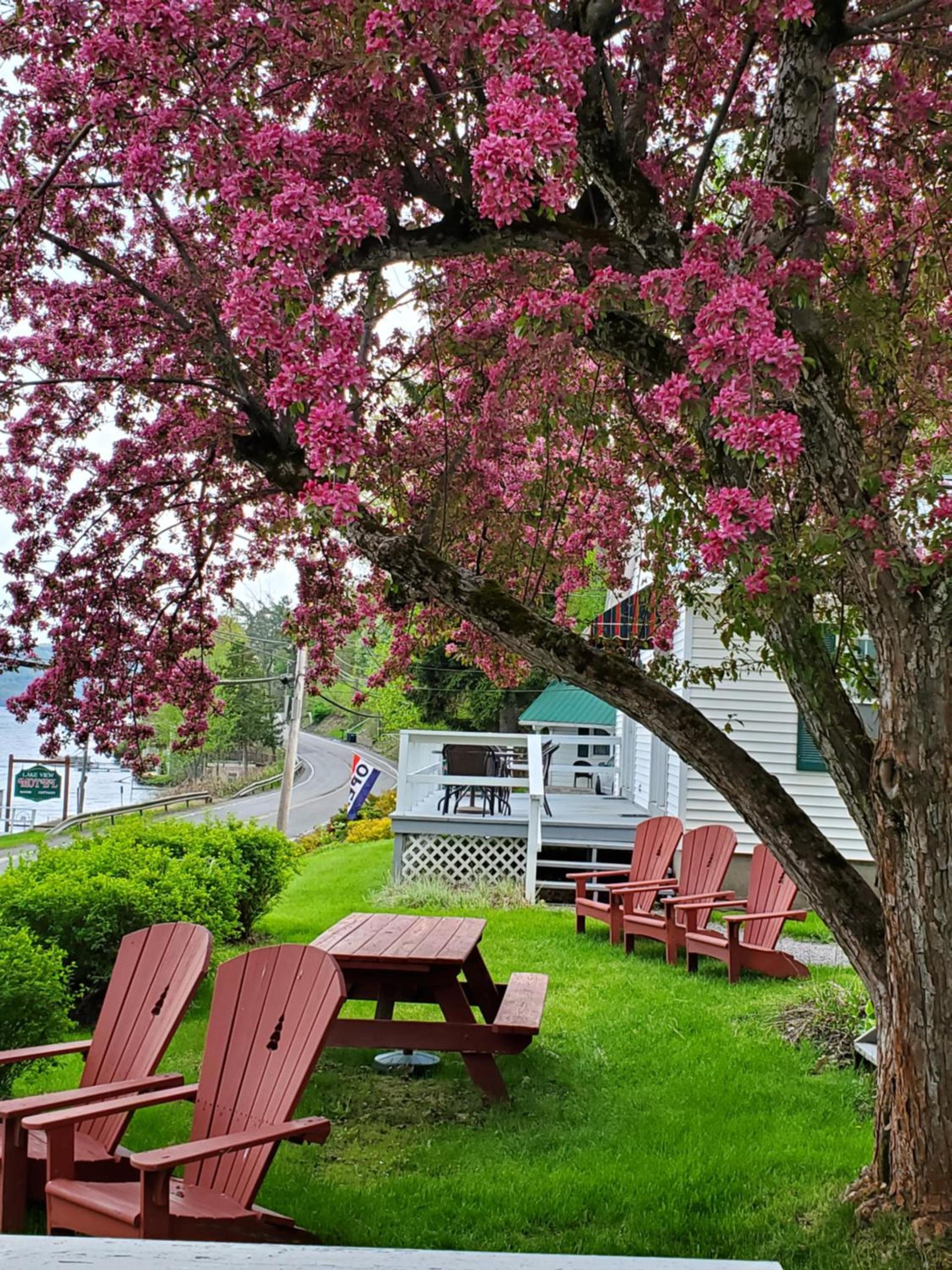 Lake View Motel photo 38