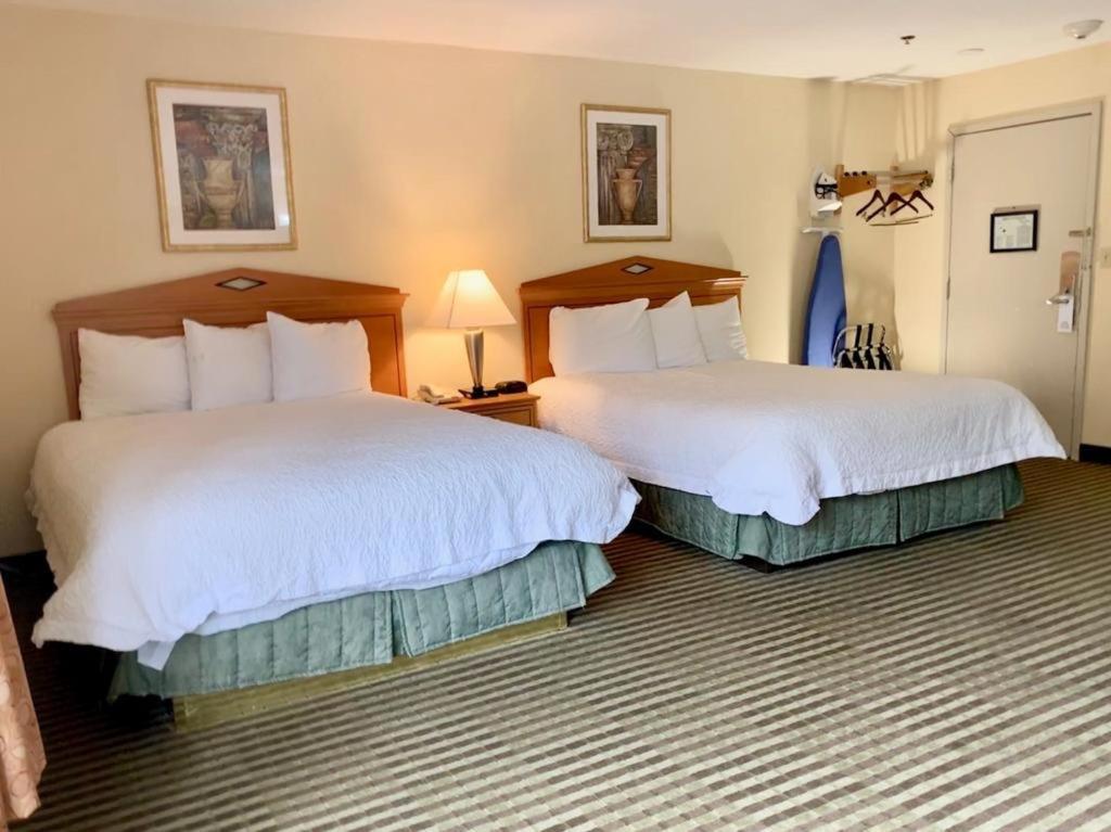 Whitney Inn & Suites photo 2