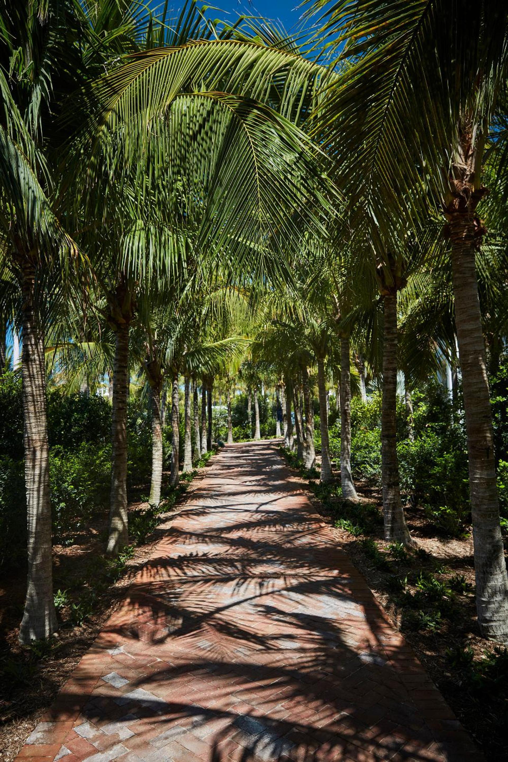 Isla Bella Beach Resort & Spa - Florida Keys photo 24