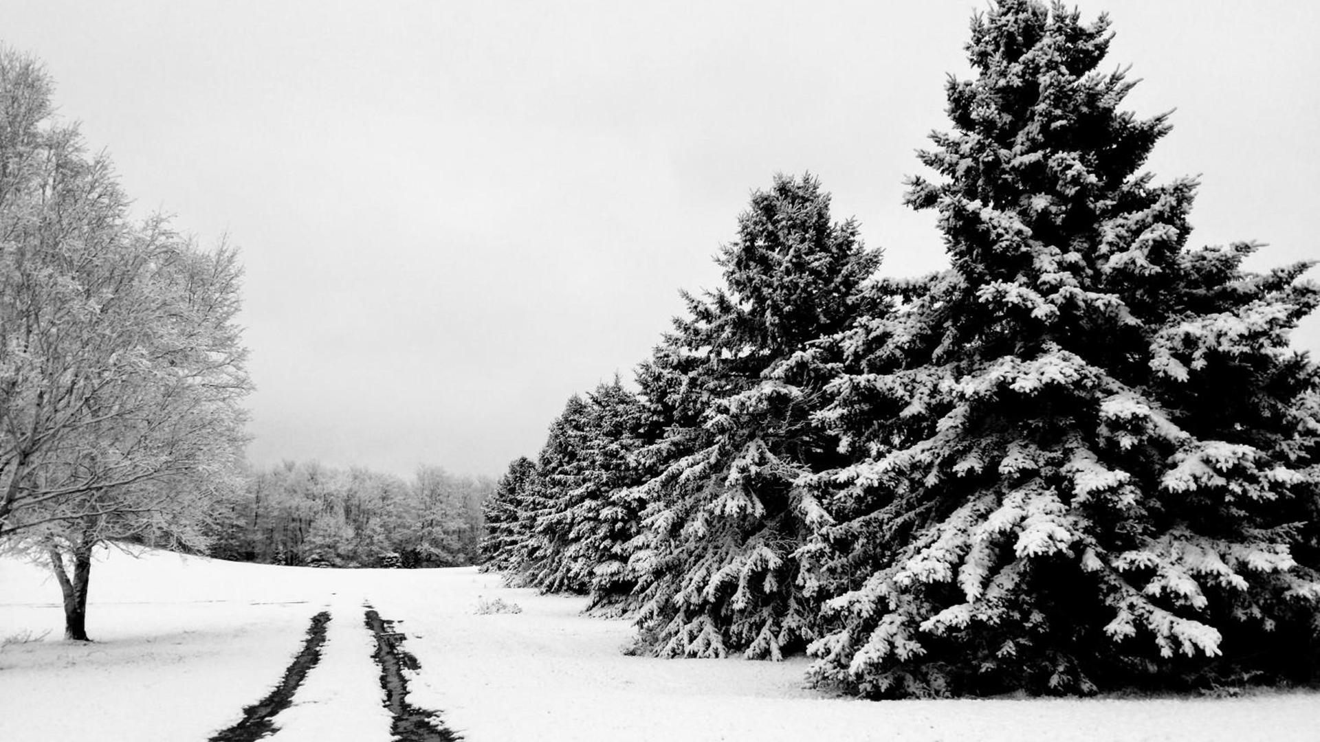 North Ironwood Acres - Black River Lodge photo 40