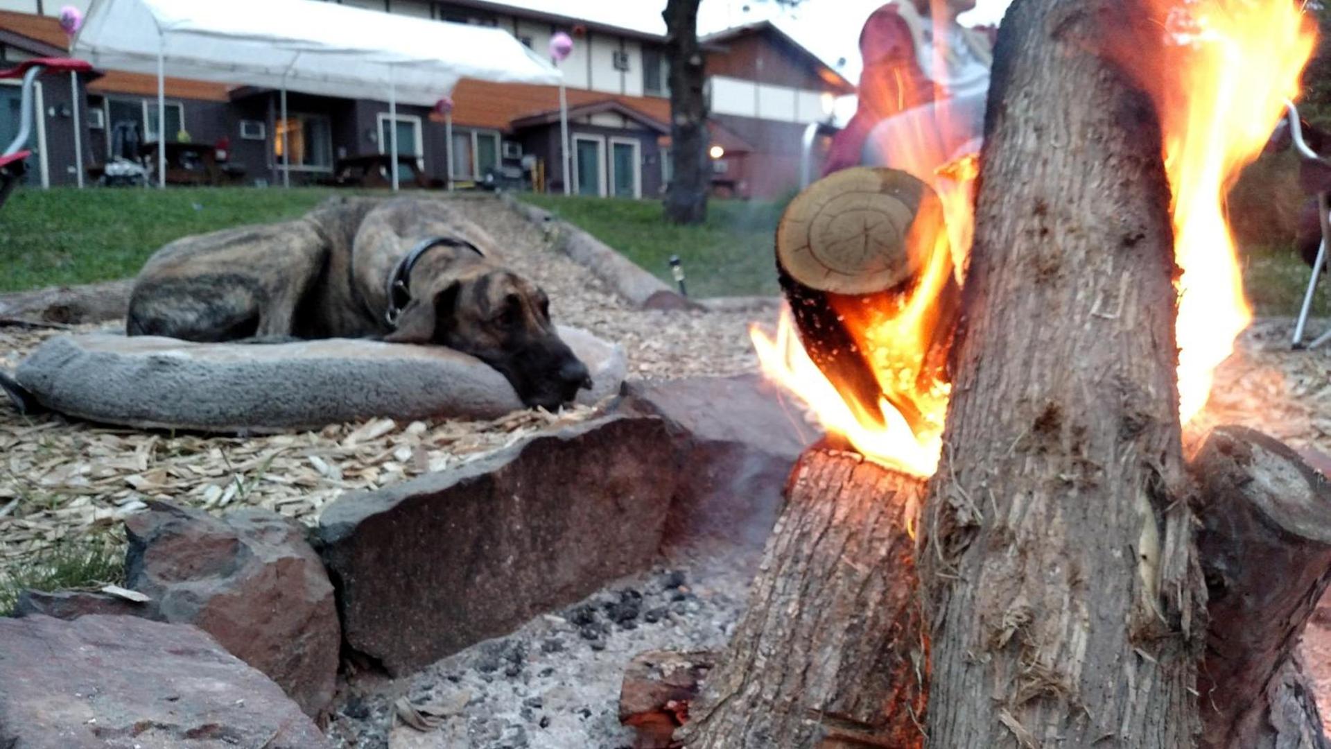 North Ironwood Acres - Black River Lodge photo 21