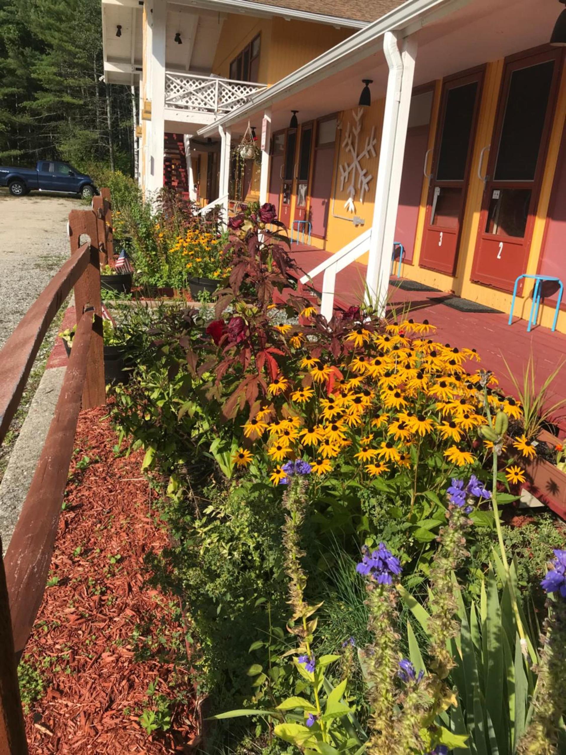 Snowdon Chalet Motel photo 93